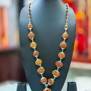 Nepali Rudraksha kantha 1 to 14 Mukhi With Gaurishankar & Ganesh in silver capping