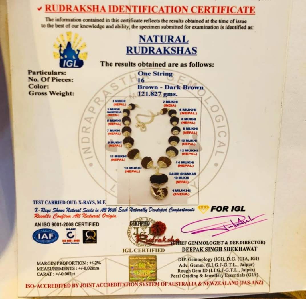 WhatsApp Image 2025-04-06 at 23.13.31 (1)